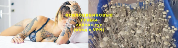 соль курить ск Богданович