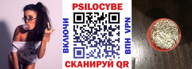 блэк спрут рабочий сайт  Торжок  Галлюциногенные грибы Psilocybe 