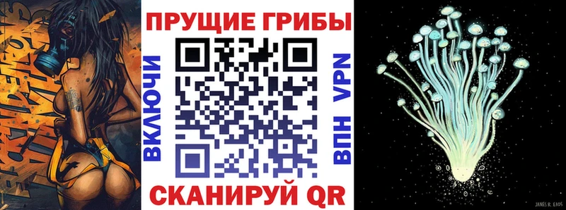 Галлюциногенные грибы прущие грибы Торжок